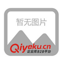 供應VJECKEY時尚內褲(圖)